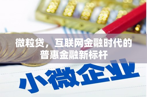 曾都微粒贷，互联网金融时代的普惠金融新标杆