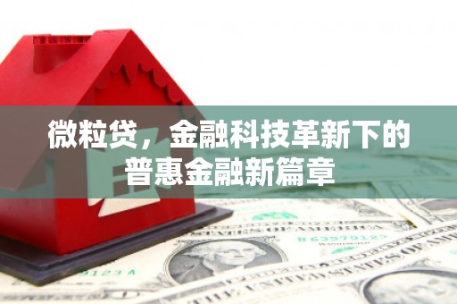 曾都微粒贷，金融科技革新下的普惠金融新篇章