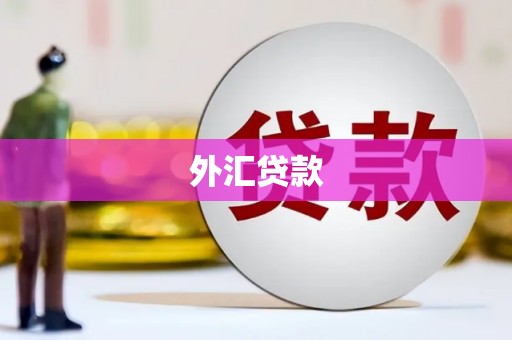 曾都外汇贷款
