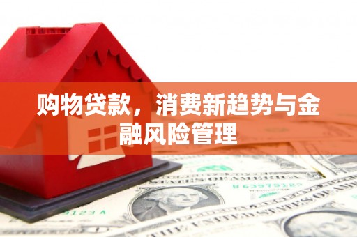 曾都购物贷款，消费新趋势与金融风险管理