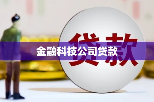 曾都金融科技公司贷款