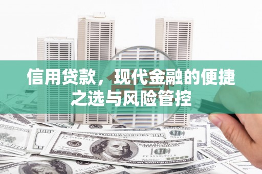 曾都信用贷款，现代金融的便捷之选与风险管控