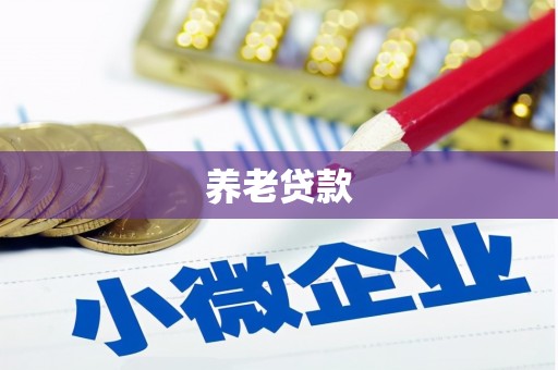 曾都养老贷款