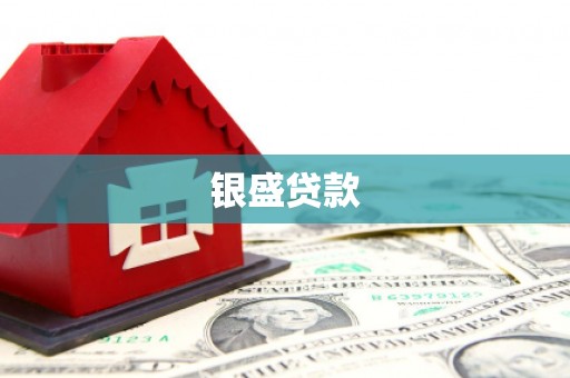 曾都银盛贷款
