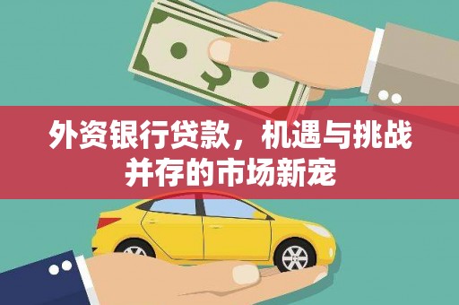 曾都外资银行贷款，机遇与挑战并存的市场新宠