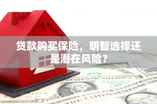曾都贷款购买保险，明智选择还是潜在风险？