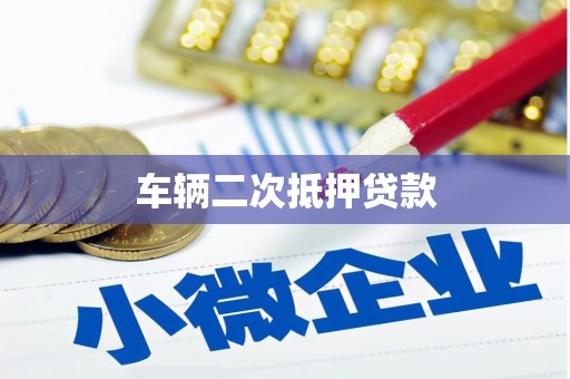 曾都车辆二次抵押贷款