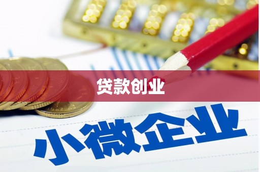 曾都贷款创业
