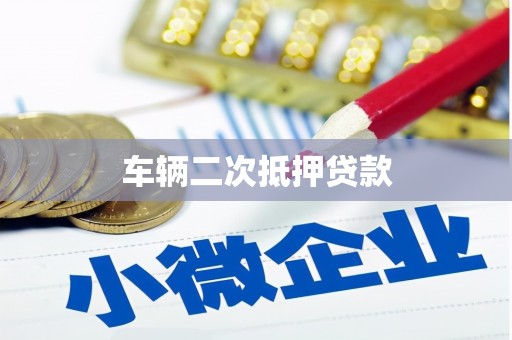 曾都车辆二次抵押贷款
