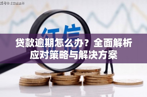 曾都贷款逾期怎么办？全面解析应对策略与解决方案