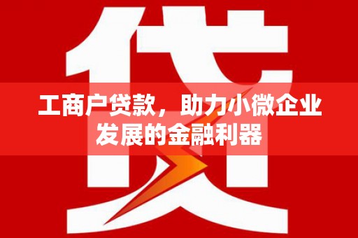 曾都工商户贷款，助力小微企业发展的金融利器
