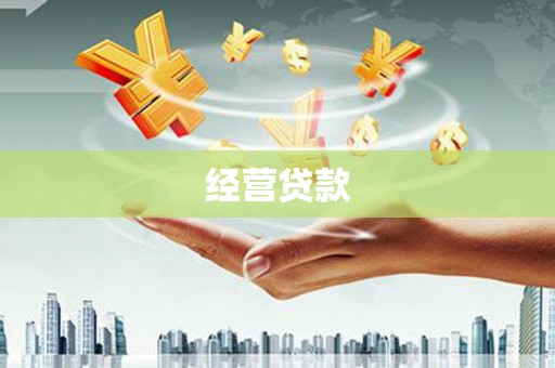 曾都经营贷款