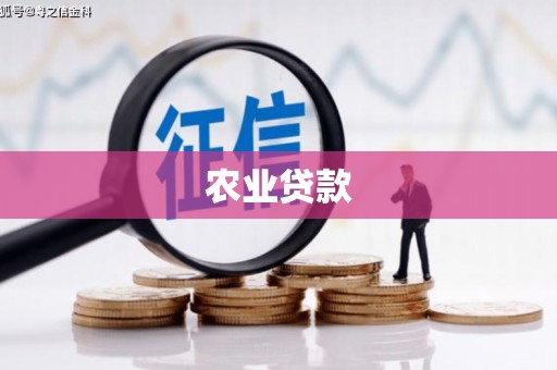 曾都农业贷款