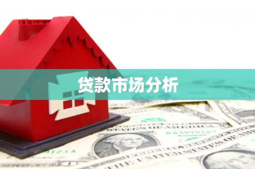 曾都贷款市场分析