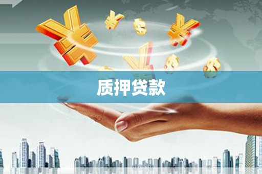 曾都质押贷款
