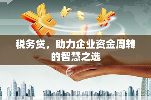 曾都税务贷，助力企业资金周转的智慧之选