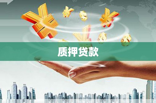 曾都质押贷款