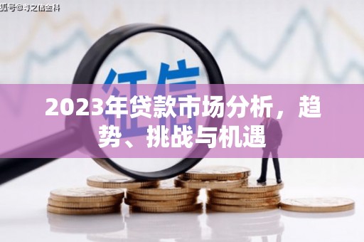 曾都2023年贷款市场分析，趋势、挑战与机遇
