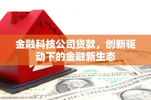 曾都金融科技公司贷款，创新驱动下的金融新生态