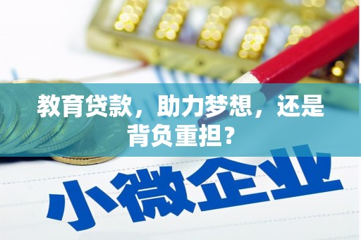曾都教育贷款，助力梦想，还是背负重担？