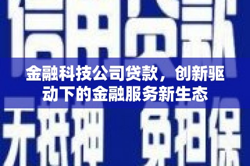 曾都金融科技公司贷款，创新驱动下的金融服务新生态