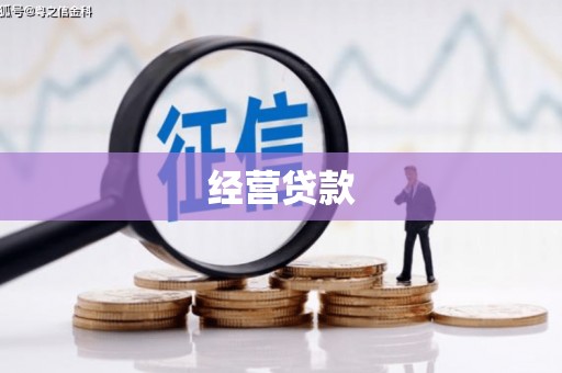 曾都经营贷款