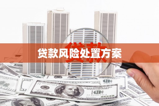 曾都贷款风险处置方案