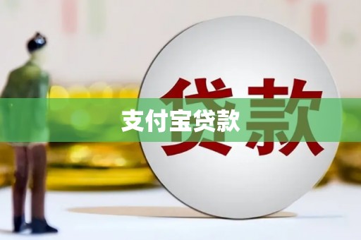 曾都支付宝贷款