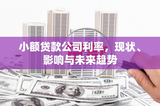 曾都小额贷款公司利率，现状、影响与未来趋势