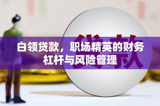 曾都白领贷款，职场精英的财务杠杆与风险管理