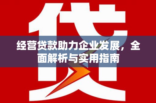 曾都经营贷款助力企业发展，全面解析与实用指南
