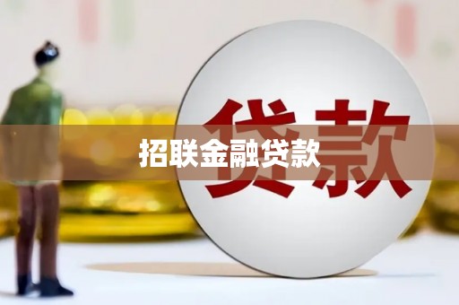 曾都招联金融贷款