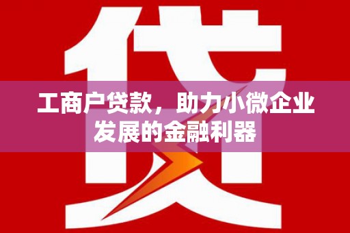 曾都工商户贷款，助力小微企业发展的金融利器