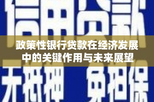 曾都政策性银行贷款在经济发展中的关键作用与未来展望