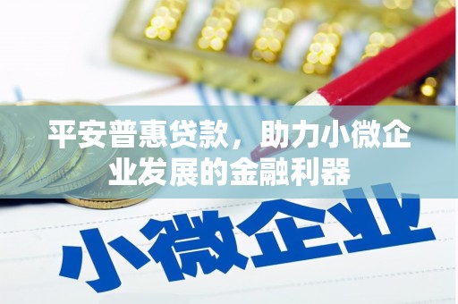 曾都平安普惠贷款，助力小微企业发展的金融利器