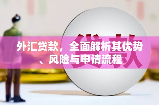 曾都外汇贷款，全面解析其优势、风险与申请流程