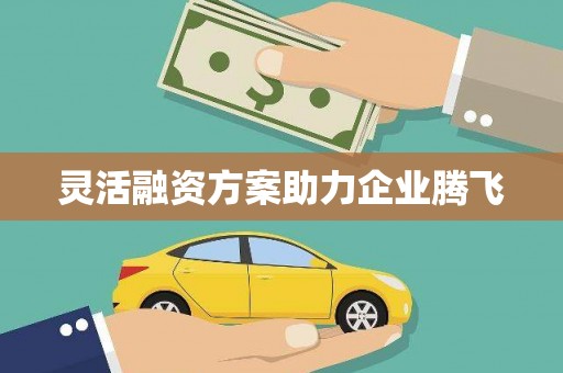 曾都灵活融资方案助力企业腾飞