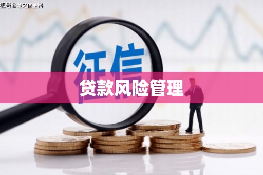 曾都贷款风险管理
