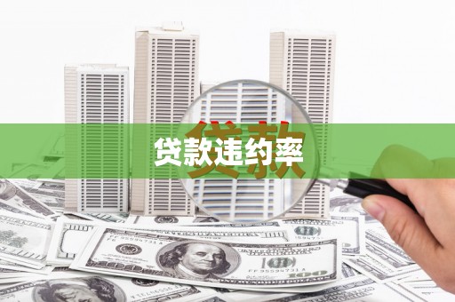 曾都贷款违约率
