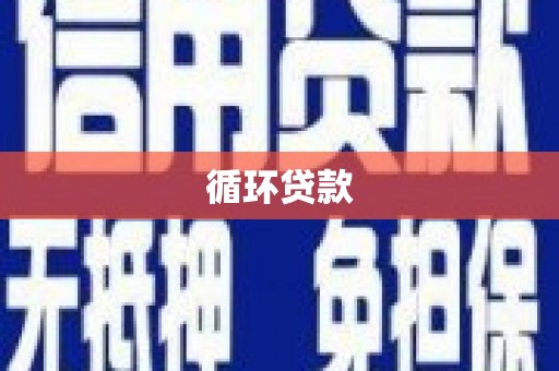 曾都循环贷款