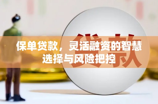 曾都保单贷款，灵活融资的智慧选择与风险把控