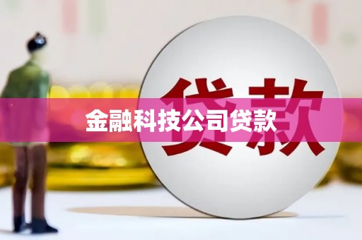 曾都金融科技公司贷款