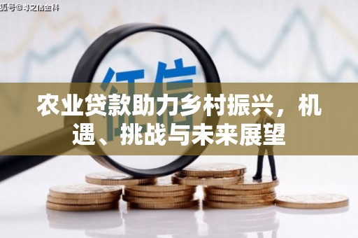 曾都农业贷款助力乡村振兴，机遇、挑战与未来展望
