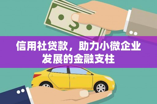 曾都信用社贷款，助力小微企业发展的金融支柱