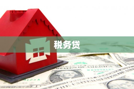 曾都税务贷