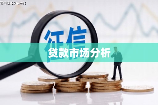 曾都贷款市场分析