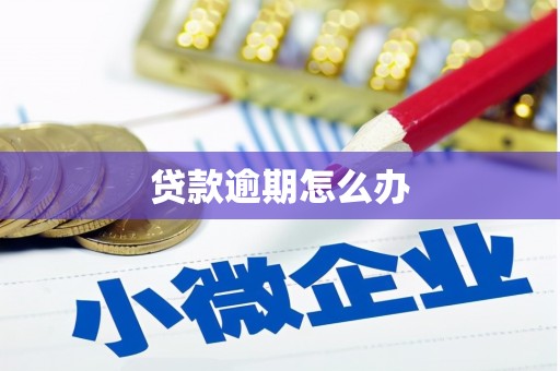 曾都贷款逾期怎么办