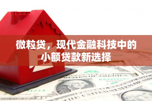 曾都微粒贷，现代金融科技中的小额贷款新选择