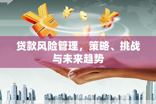 曾都贷款风险管理，策略、挑战与未来趋势
