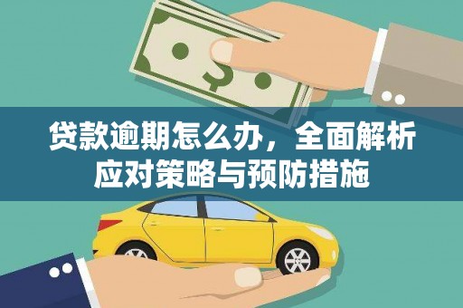 曾都贷款逾期怎么办，全面解析应对策略与预防措施